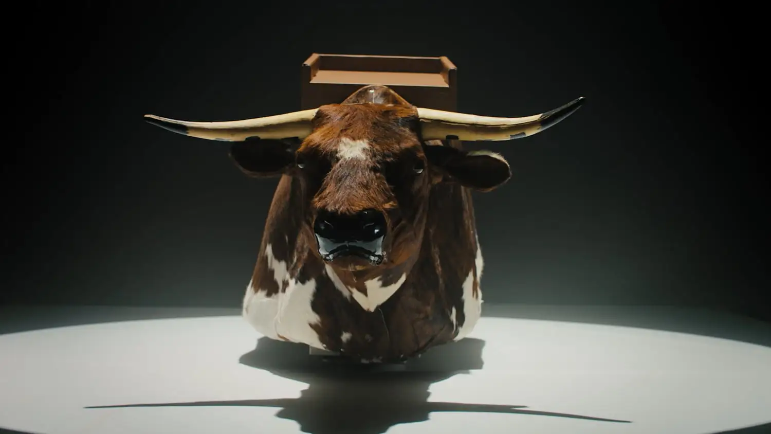 KraftMaid versus King Toro