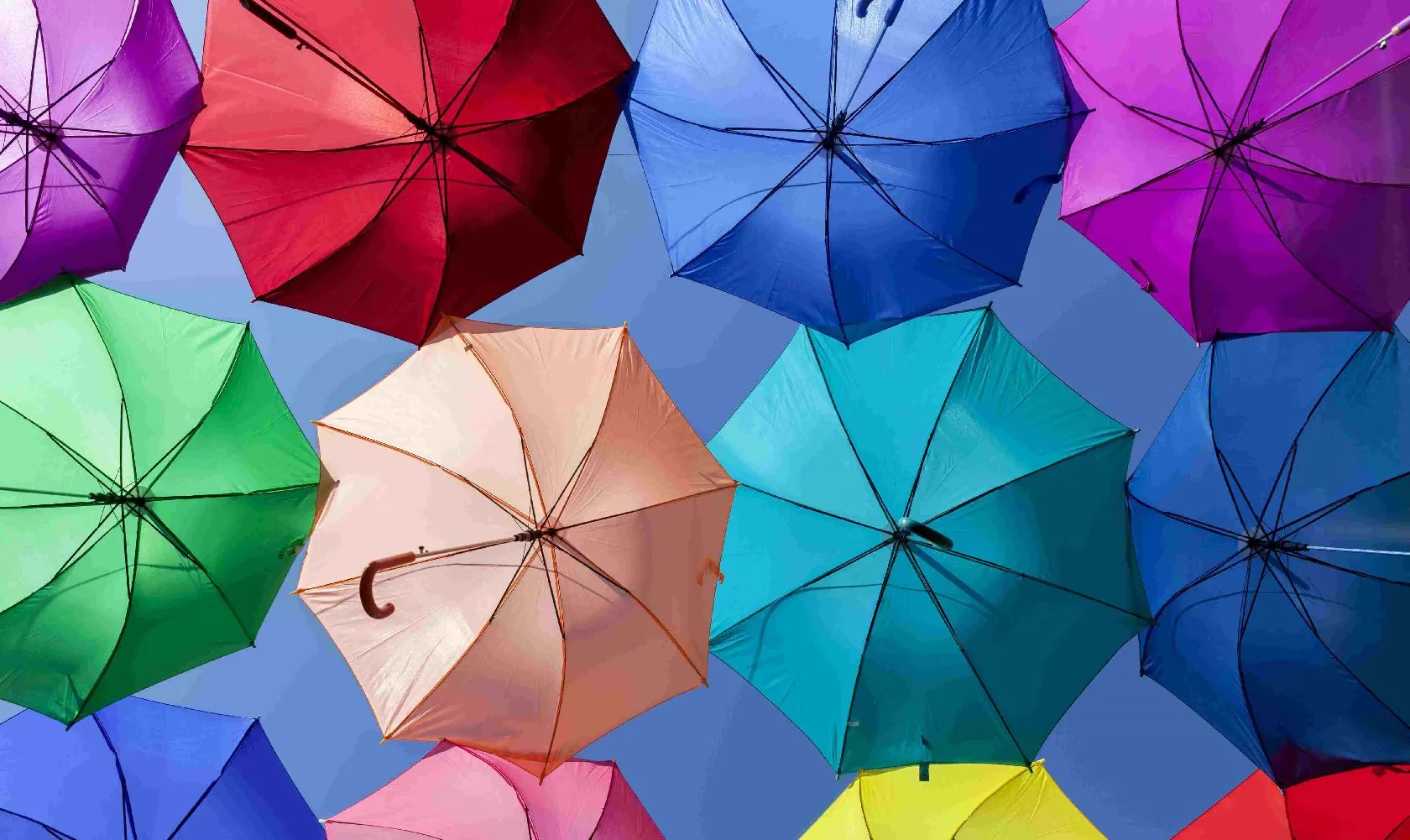Umbrellas_Solution_1680x1000 (1)